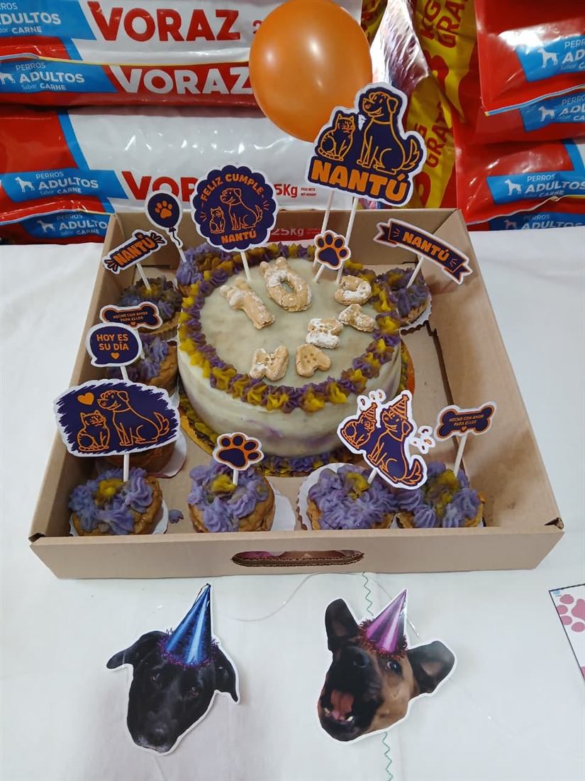 Caja con torta y cupcakes violetas decorados para el cumpleaños número 10 de Nantú