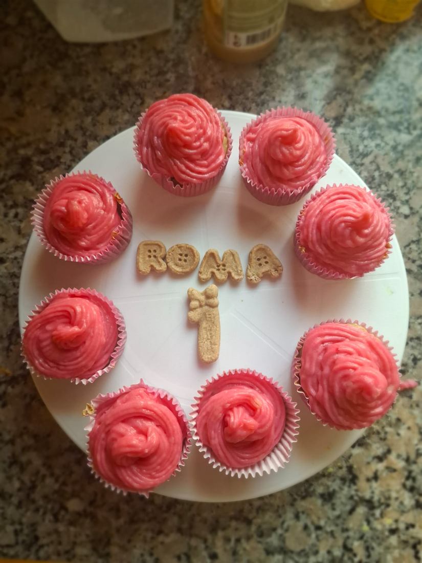 Cupcakes rosas en círculo alrededor del nombre Roma y el número 1 hechos en galleta