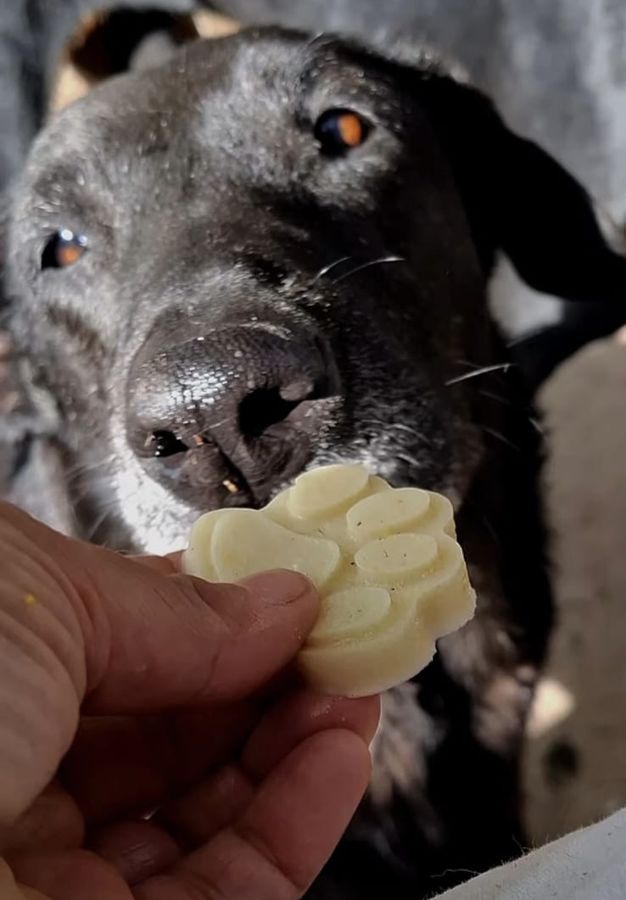 Gomita de colágeno con forma de huella frente a un perro negro