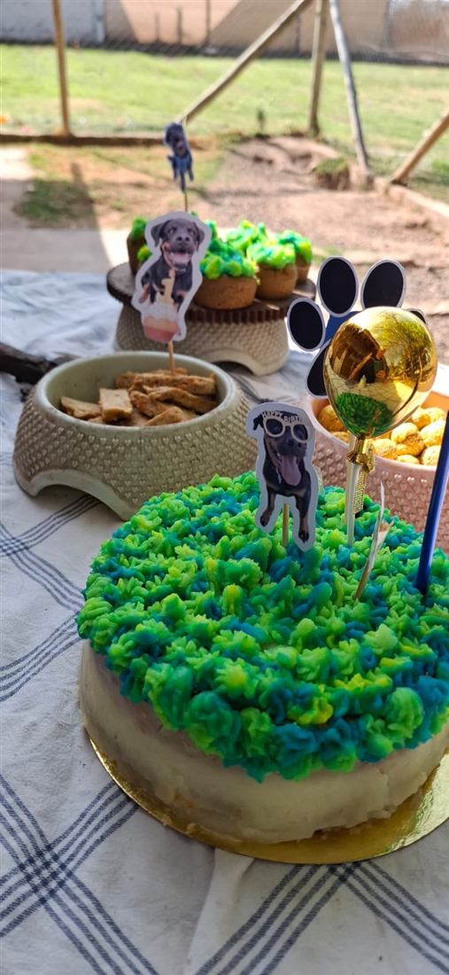 Mesa de cumpleaños con torta verde y azul, cupcakes y galletas para Caleb